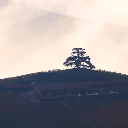 Апартаменты La Vigna Del Parroco-2- *