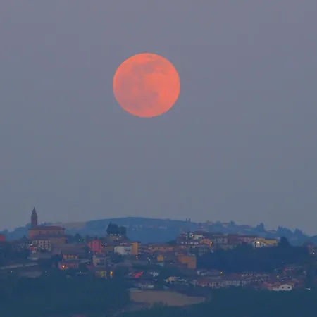 La Vigna Del Parroco-2- *